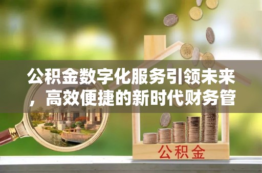 阳新公积金数字化服务引领未来，高效便捷的新时代财务管理