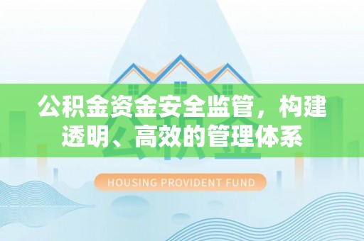 阳新公积金资金安全监管，构建透明、高效的管理体系