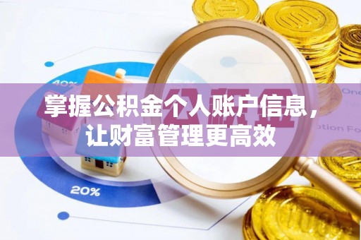 阳新掌握公积金个人账户信息，让财富管理更高效