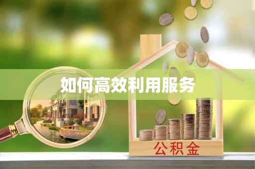 阳新如何高效利用服务
