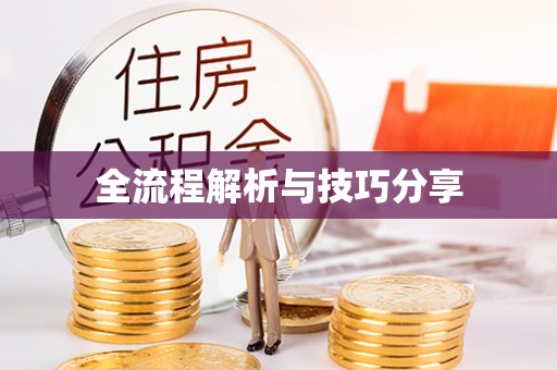 阳新全流程解析与技巧分享